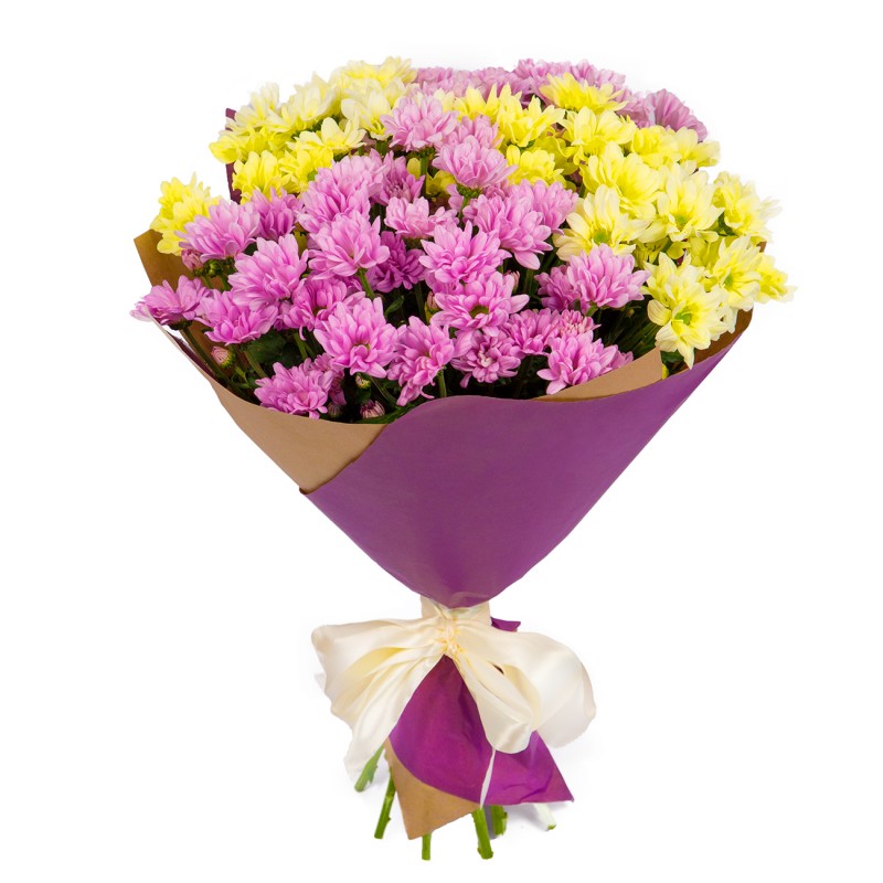 Yellow Pink Daisies