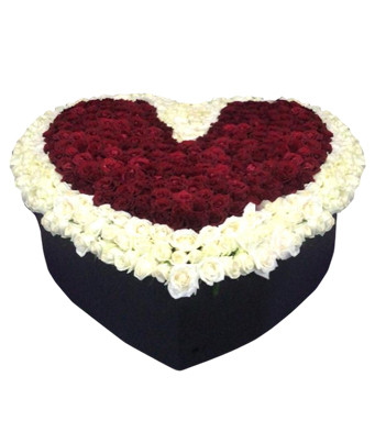 500 Roses in a Heart-Shaped Box