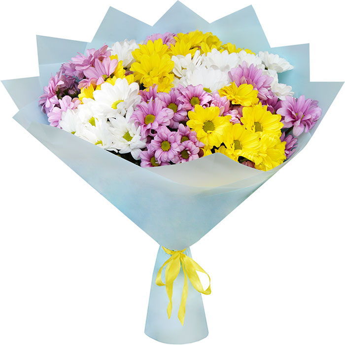 Mixed Daisy Bouquet