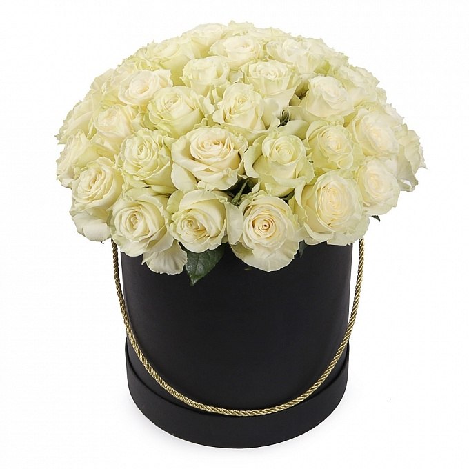 white box rose