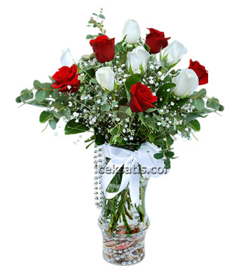 Red White Rose