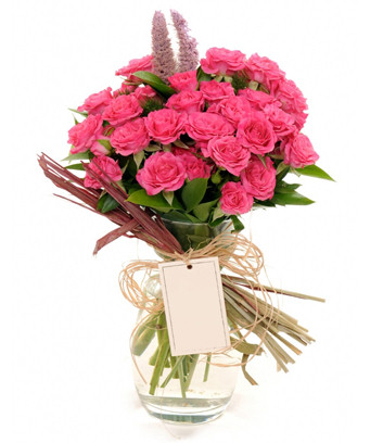 Pink Trellis Roses