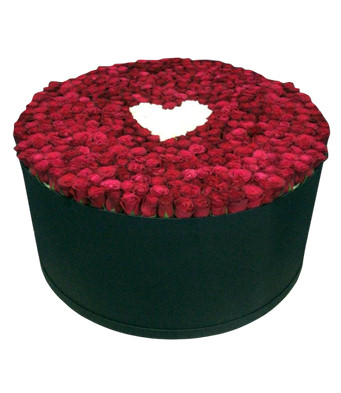 500 Roses in a Cylindrical Box